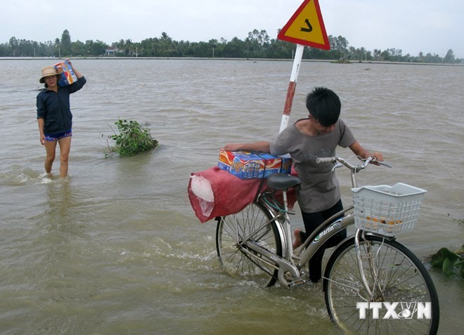 Nơi sự sống hồi sinh - ảnh 1